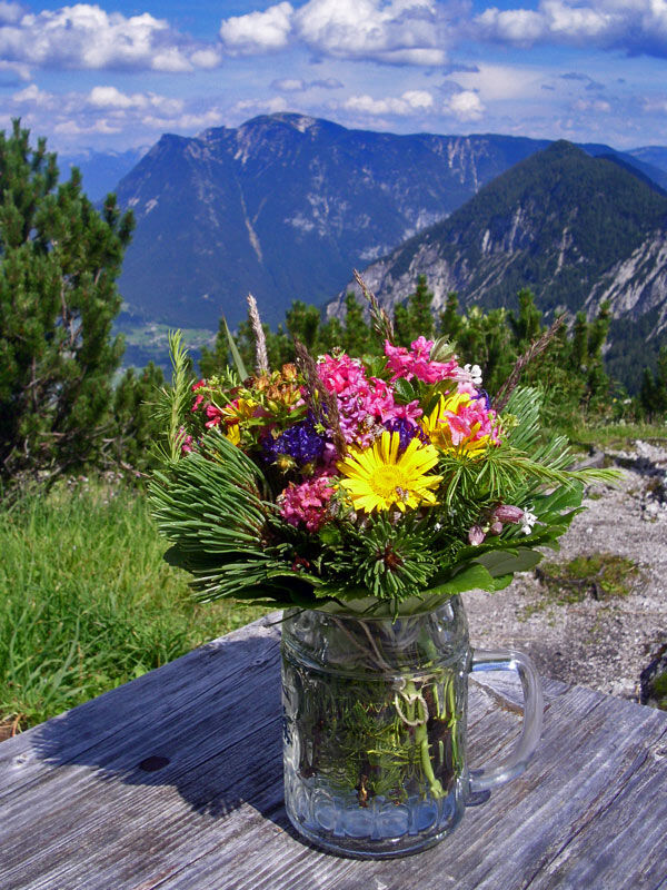 blumen